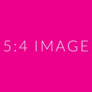 THE SHOP